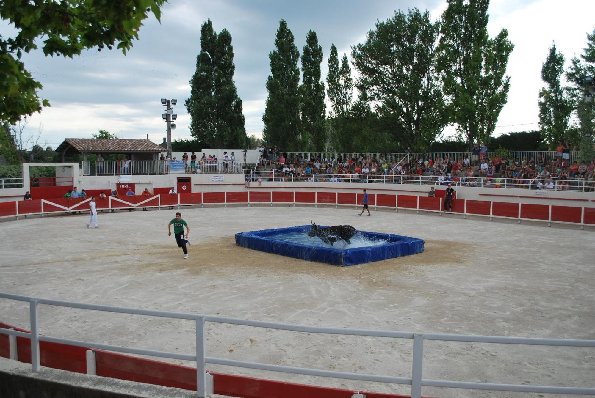 Villa La Cigale, Maussane Les Alpilles المظهر الخارجي الصورة